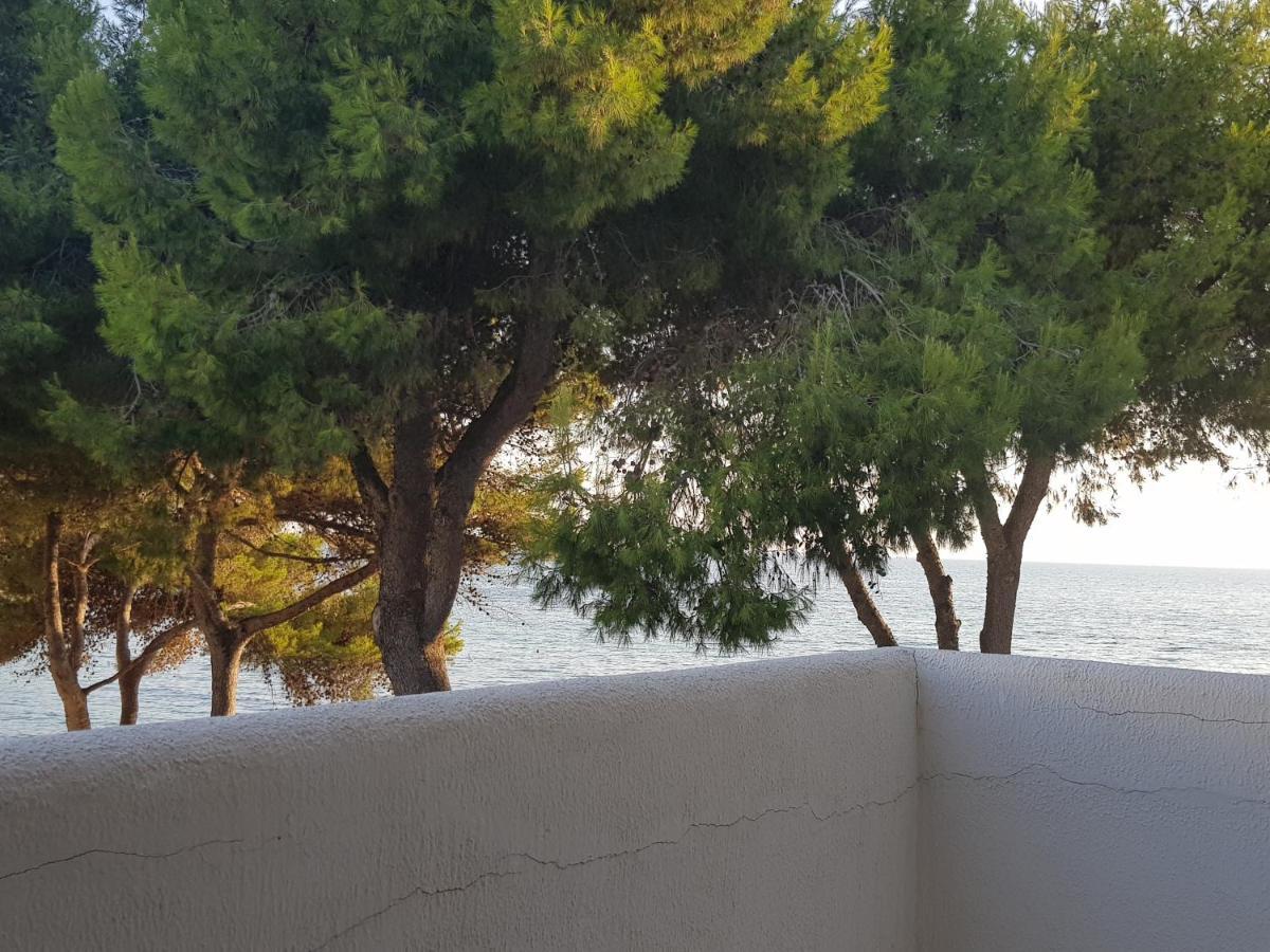 Appartamento La Caletta Gallipoli Ngoại thất bức ảnh